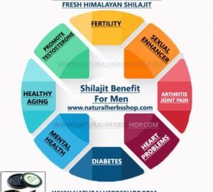 5 Major Health Challenges Shilajit benefit for men Natural herbs shop