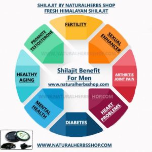 5 Major Health Challenges Shilajit benefit for men Natural herbs shop