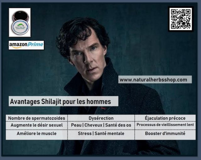 avantages de Shilajit pour les hommes naturalherbsshop.com