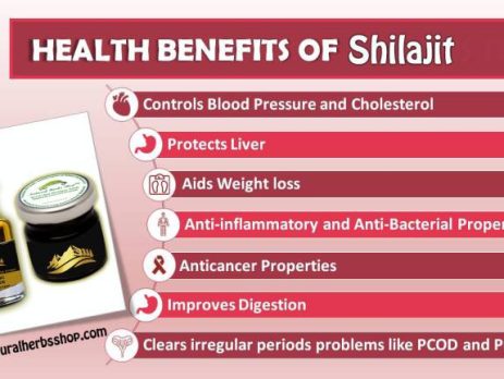 Health benefits of Shilajit naturalherbsshop.com