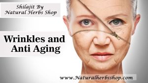 Shilajit anti aging Natural Herbs Shop