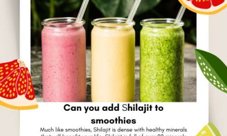can you add shilajit to smoothies naturalherbsshop.com