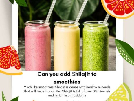 can you add shilajit to smoothies naturalherbsshop.com