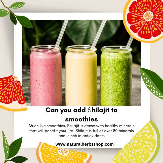 can you add shilajit to smoothies naturalherbsshop.com