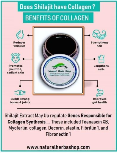 does-shilajit-have-collagen