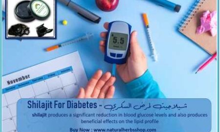 Shilajit For Diabetes