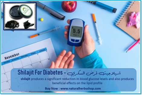 Shilajit For Diabetes