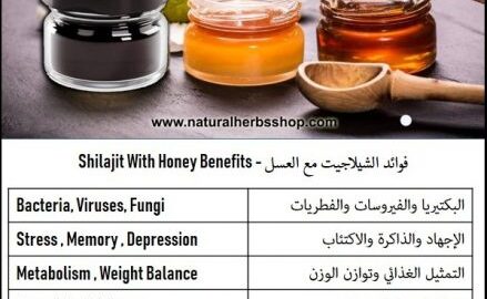 Shilajit with honey useful properties ما هو شيلاجيت؟ فوائد الشيلاجيت بالعسل
