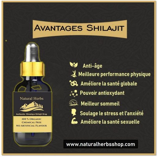 Top 10 Benefits of Shilajit , Study Finds Avantages-de-Shilajit-liquide