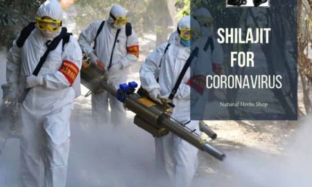 Shilajit coronavirus | How Shilajit Helps in coronavirus