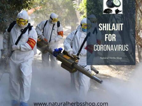 Shilajit coronavirus | How Shilajit Helps in coronavirus