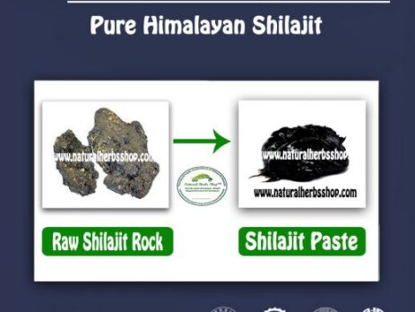 Shiljeet purified – Himalayan Fresh Shilajit