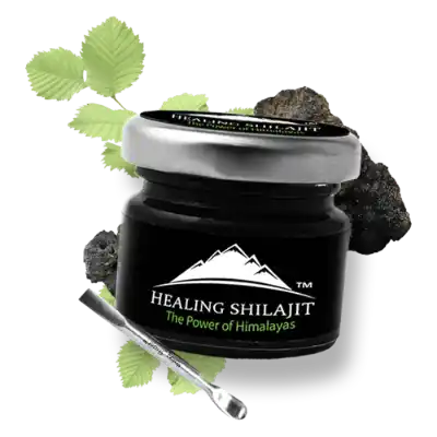 Healing Shilajit - Natural Herbs Shop