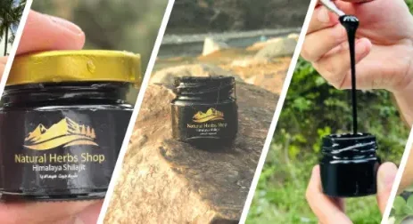 Himalaya Shilajit paste
