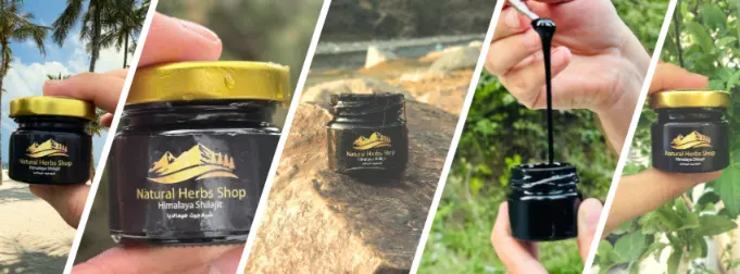 Himalaya Shilajit paste