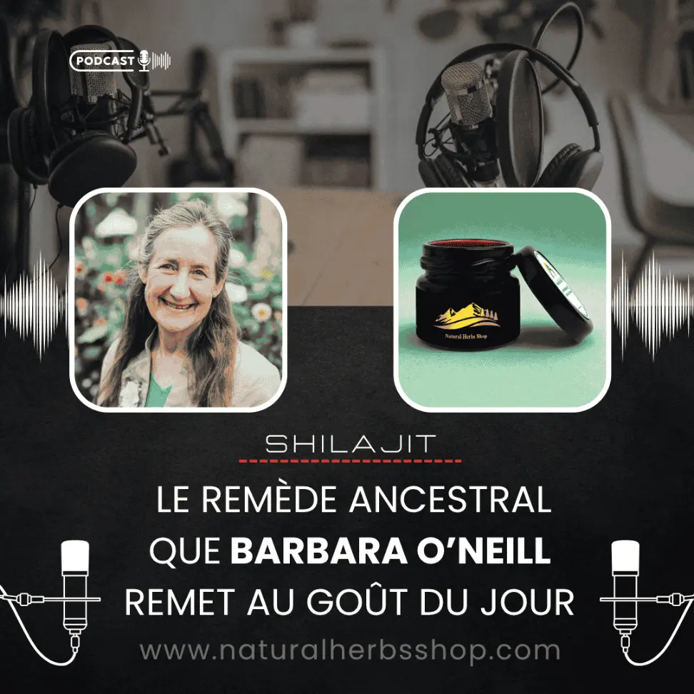 Shilajit : le remède ancestral que Barbara O’Neill remet au goût du jour