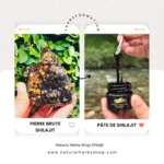 pierre brute Shilajit Natural herbs shop