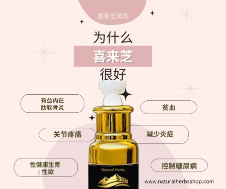 喜来芝的好处 喜来芝有什么好处